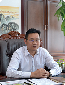 龚涛