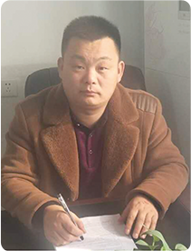 杨春