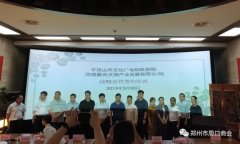 特色民宿和大型房车露营基地落户平顶山！